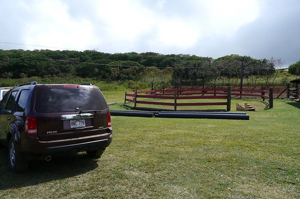 HI50 S6 Gun Stock Ranch 59