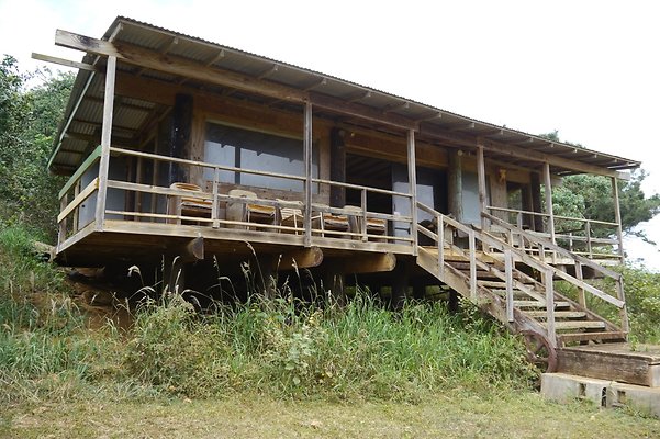 HI50 S6 Gun Stock Ranch 33