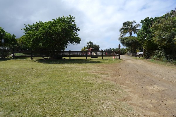 HI50 S6 Gun Stock Ranch 57