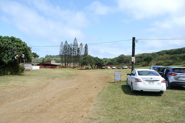 HI50 S6 Gun Stock Ranch 61