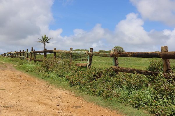 Fenceline to Main Arena Lilia Tollefsen 808.738.7562