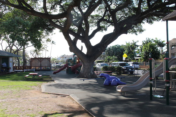 KCAA Wai Kahala Preschool- 1261 Pueo St- Stacy Fujieda 732.1755 KCAA Wai Kahala Preschool- 1261 Pueo St- Stacy Fujieda 732.1755
