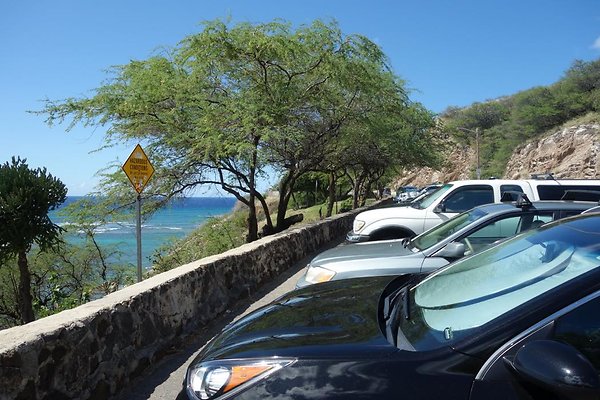 th DSC07004 th DSC07004