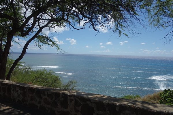 th DSC06998 th DSC06998