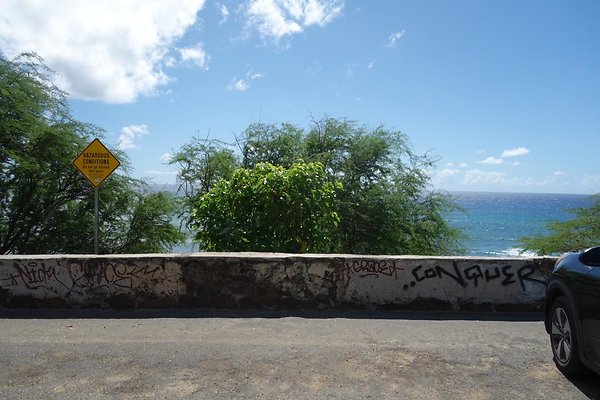 th DSC07003 th DSC07003