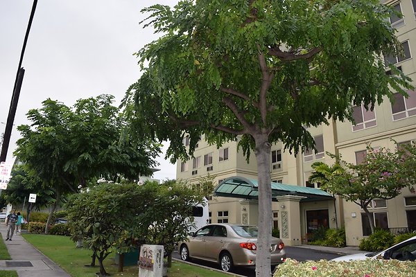 The Plaza at Punchbowl