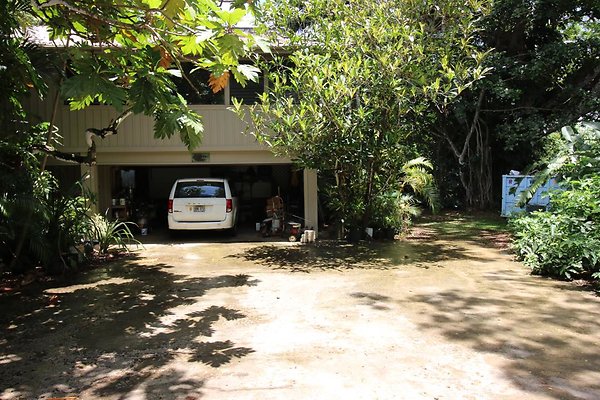 th IMG 1612 th IMG 1612