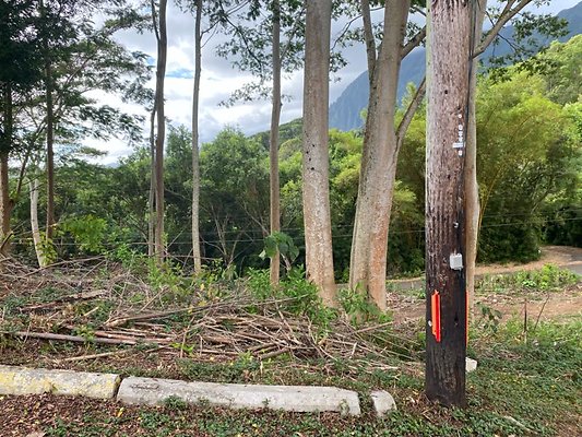 th IMG 0005 th IMG 0005