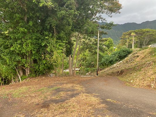 th IMG 0001z th IMG 0001z