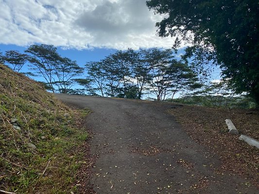 th IMG 0004 th IMG 0004