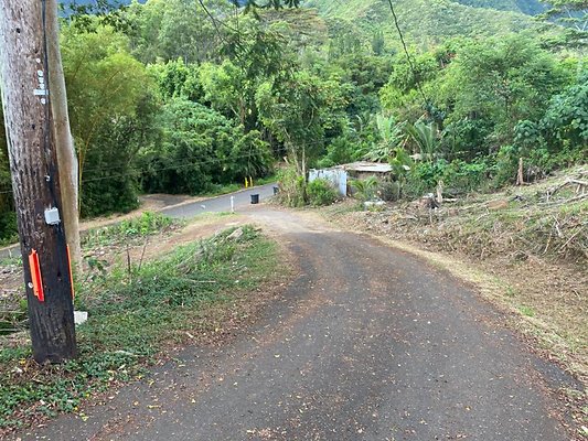 th IMG 0006 th IMG 0006