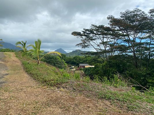 th IMG 0003 th IMG 0003