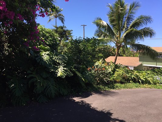 HI50 S6 Kaaawa 51-404 Maumauluukaa St 36.32