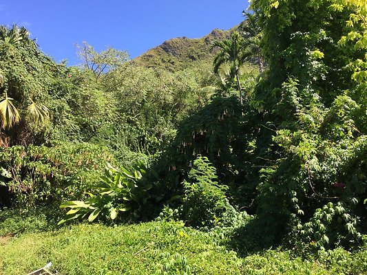 HI50 S6 Kaaawa 51-404 Maumauluukaa St 37.26