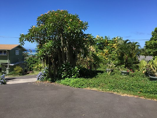 HI50 S6 Kaaawa 51-404 Maumauluukaa St 36.34