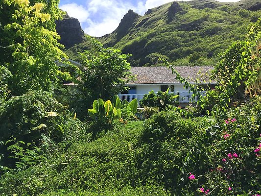 HI50 S6 Kaaawa 51-404 Maumauluukaa St 37.29