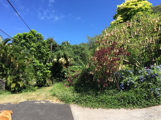 HI50 S6 Kaaawa 51-404 Maumauluukaa St 37.06