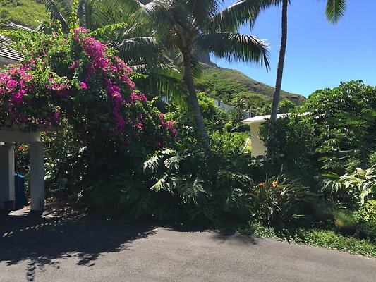 HI50 S6 Kaaawa 51-404 Maumauluukaa St 36.20