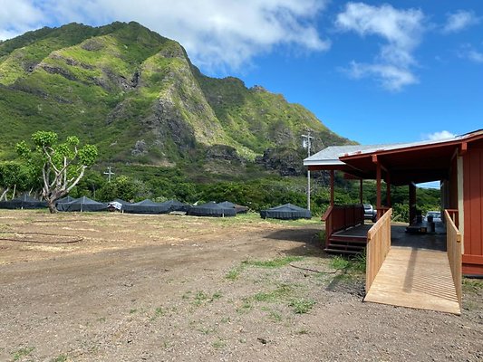 th IMG 8747 th IMG 8747