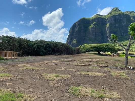 th IMG 8742 th IMG 8742