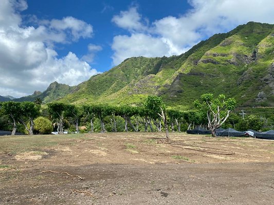 th IMG 8746 th IMG 8746