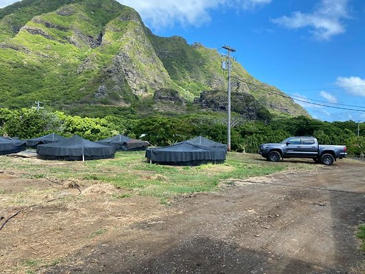 th IMG 8745 th IMG 8745