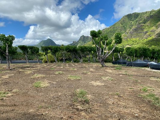 th IMG 8744 th IMG 8744