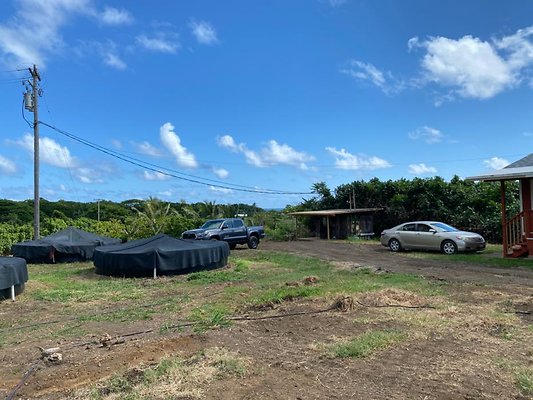 th IMG 8740 th IMG 8740