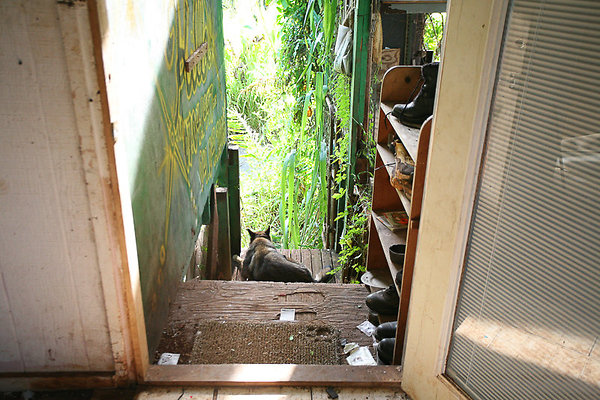 Ep408 WhitmoreVillage BillWeiss-12 Ep408 WhitmoreVillage BillWeiss-12