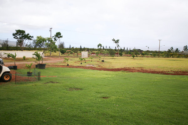 PoamohoPlace-6 PoamohoPlace-6