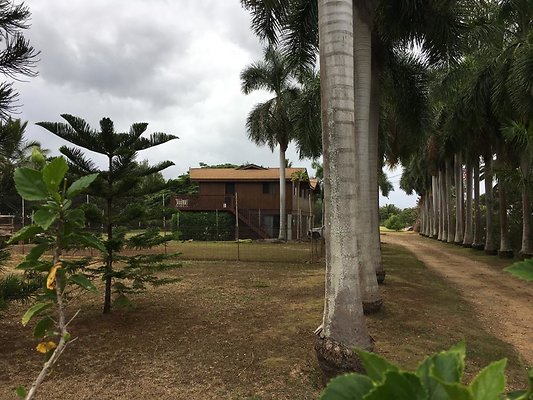 Wailua 68-346 Olohio St Phil Rodgers 808.223.7321 Wailua 68-346 Olohio St Phil Rodgers 808.223.7321