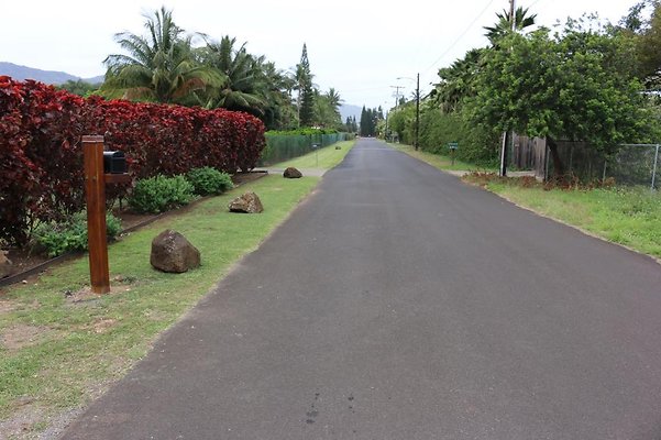 th IMG 0374 th IMG 0374