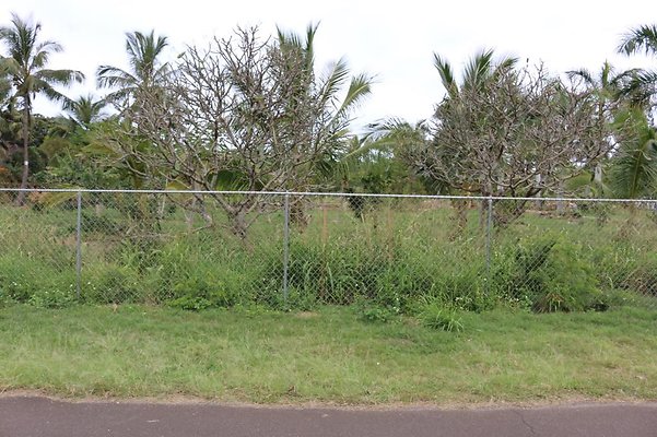 th IMG 0376 th IMG 0376