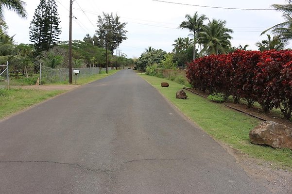 th IMG 0372 th IMG 0372