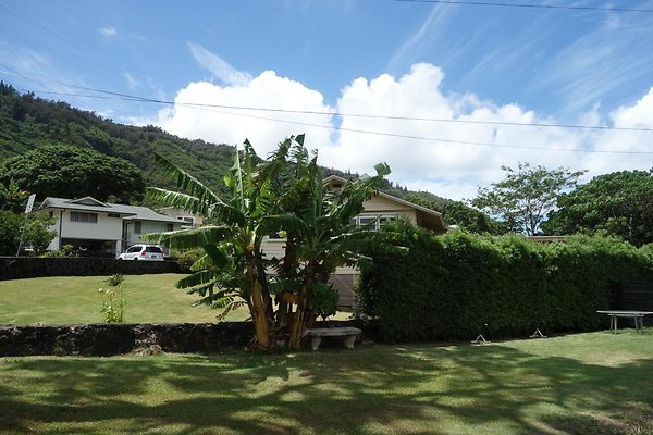 Manoa 3274 Lower Rd Kelly Allen 808.306.7005
