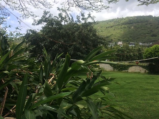 HI50 S6 2544 Alaula Way 07.21