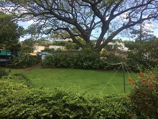 HI50 S6 2544 Alaula Way 07.58