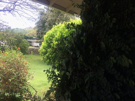 HI50 S6 2544 Lauala Way 08.02