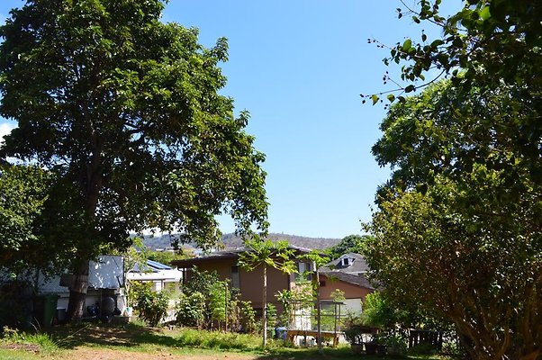 th DSC 0966 th DSC 0966