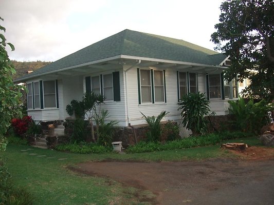 Manoa Mango Tree Table House Manoa Mango Tree Table House