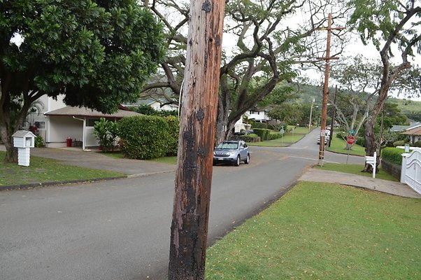 th DSC 0344 th DSC 0344