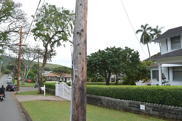 th DSC 0339 th DSC 0339